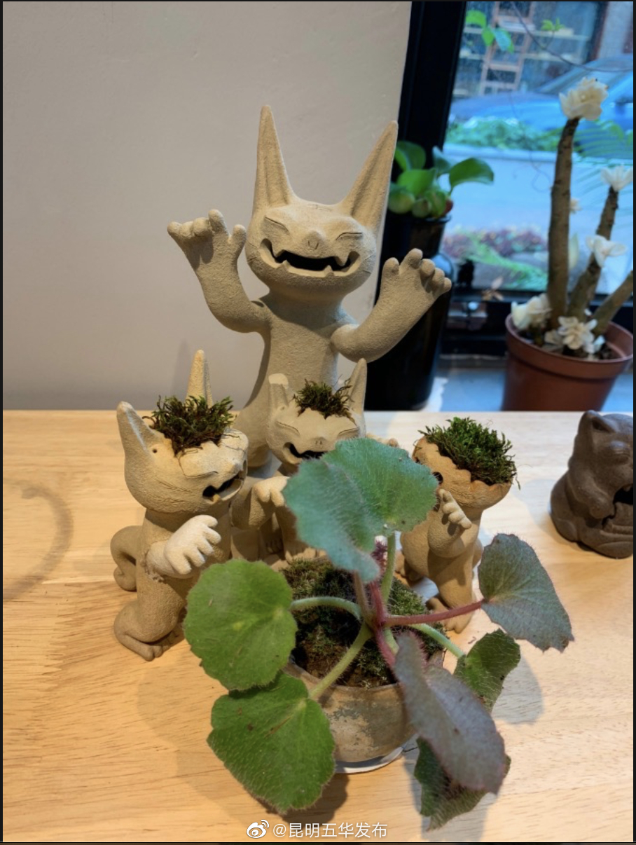昆明五华发布