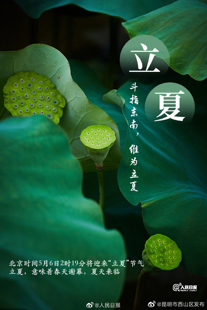 昆明市西山区发布
