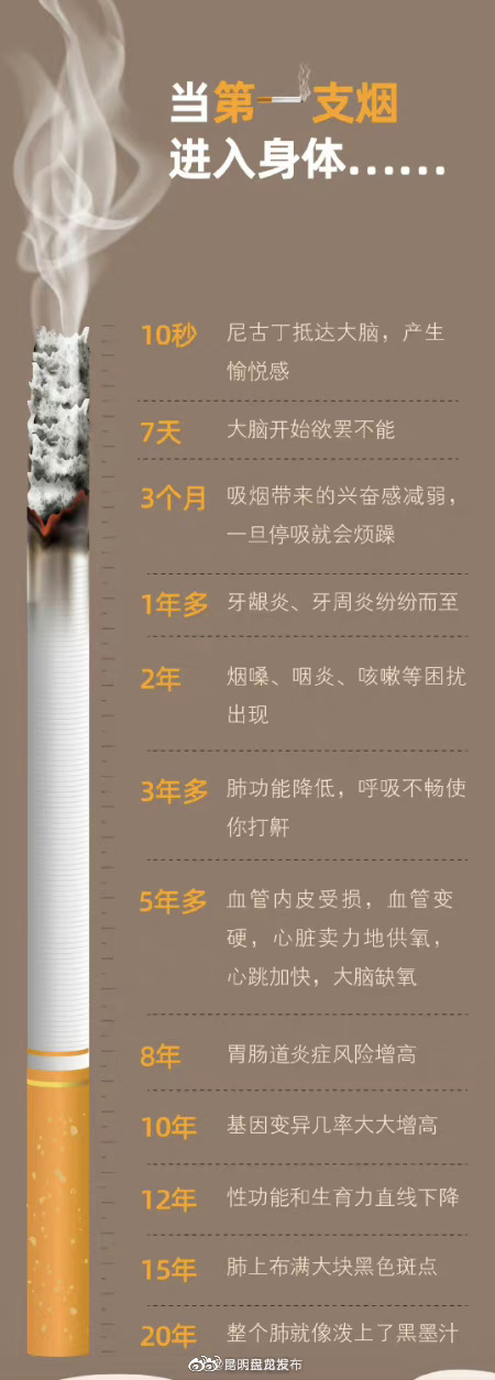 昆明盘龙发布