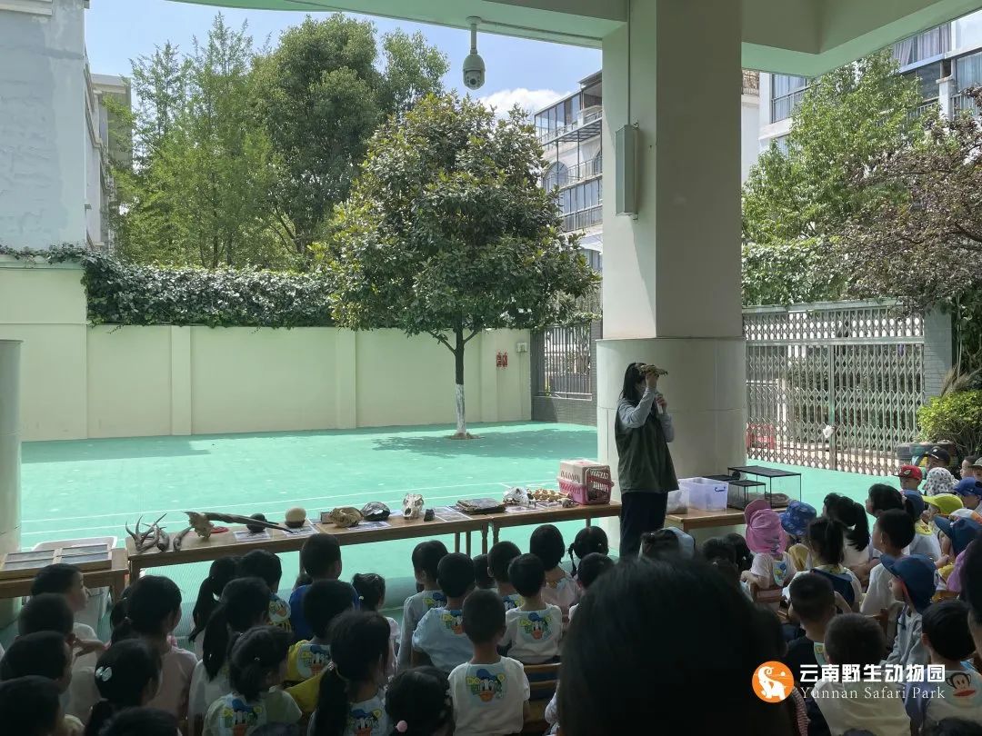 云南野生动物园