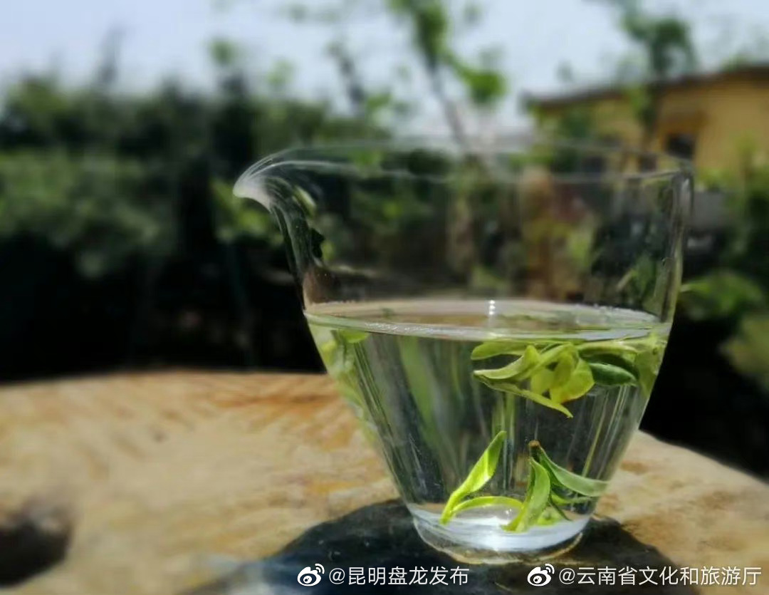 昆明盘龙发布