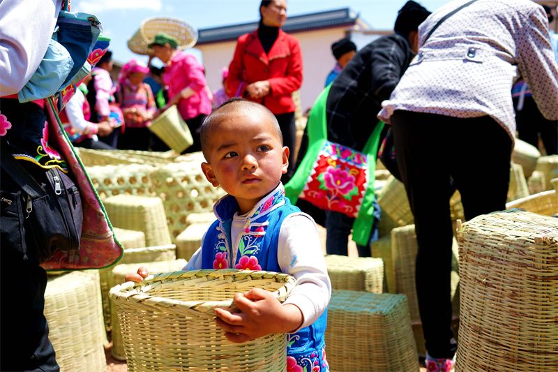 云南省文化和旅游厅