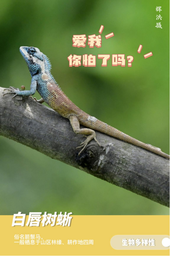 德宏团结报