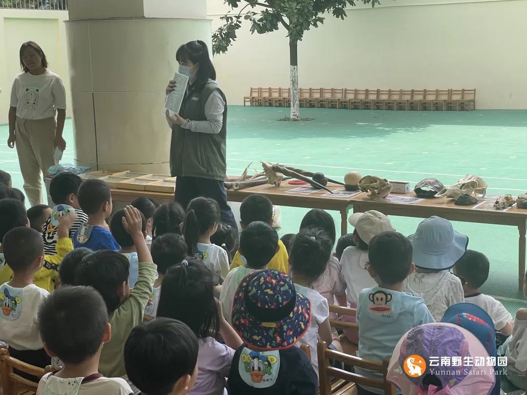 云南野生动物园