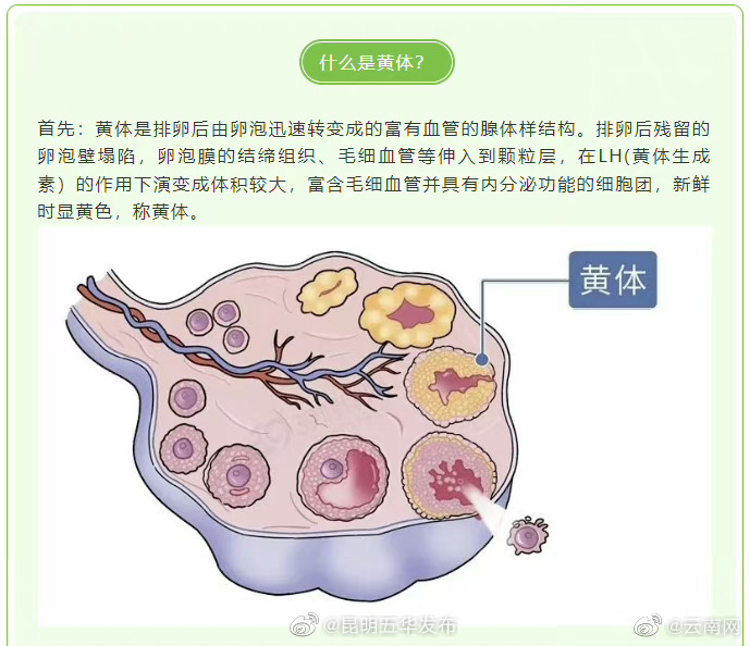 昆明五华发布