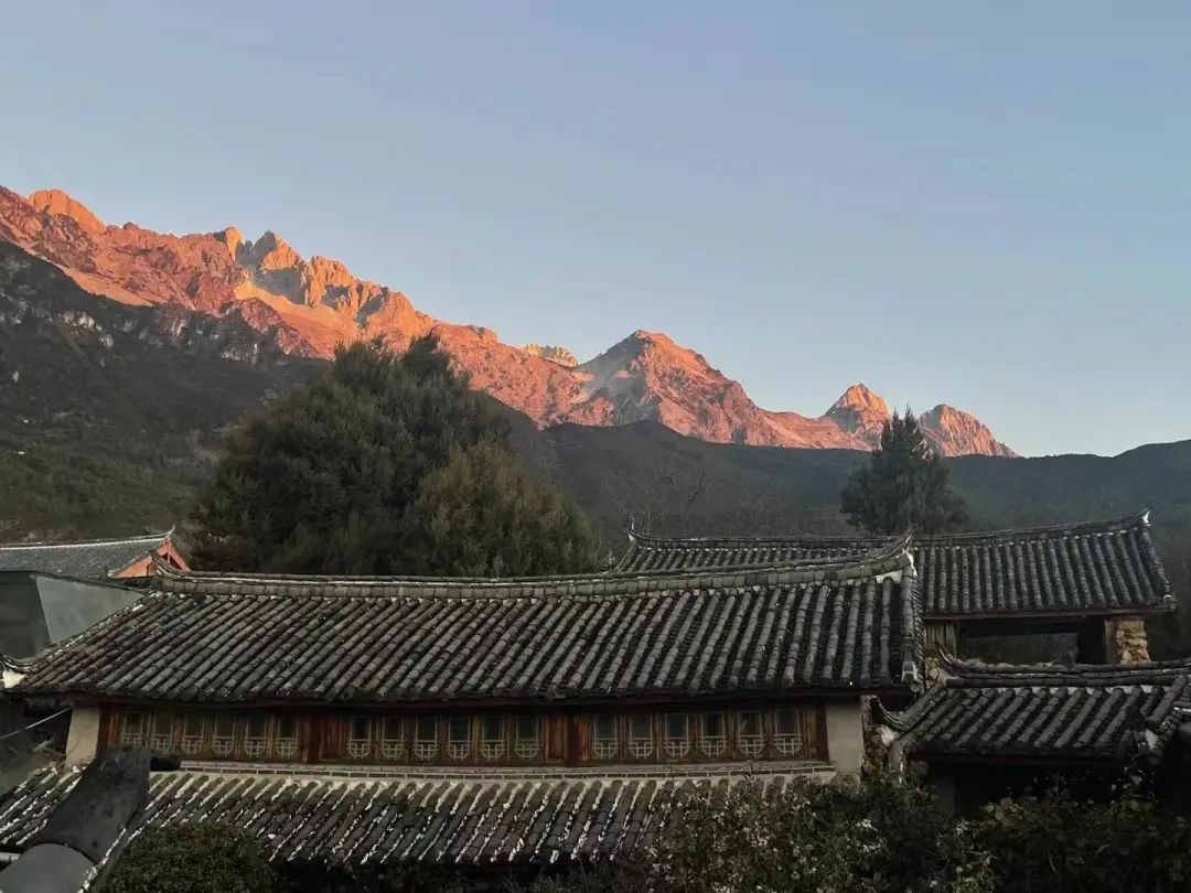 丽江日报