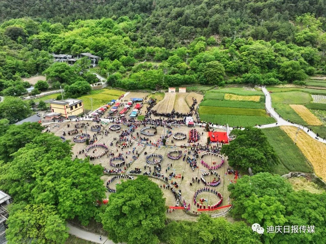 迪庆日报传媒