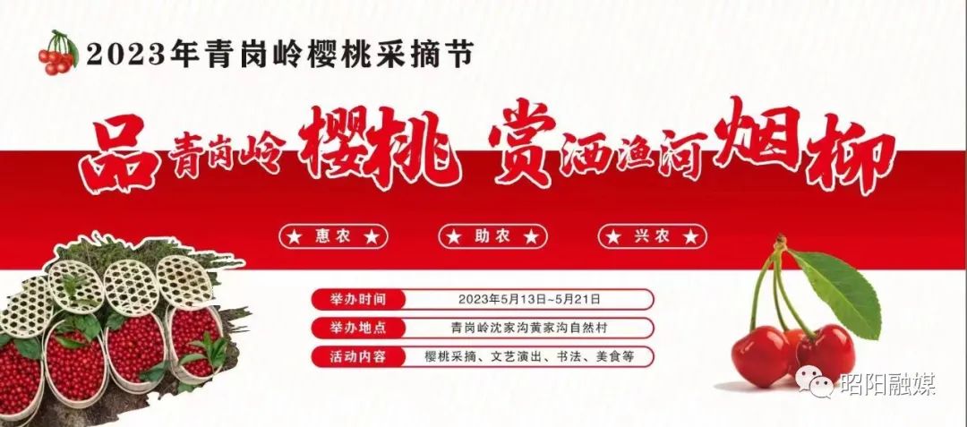 昭通日报