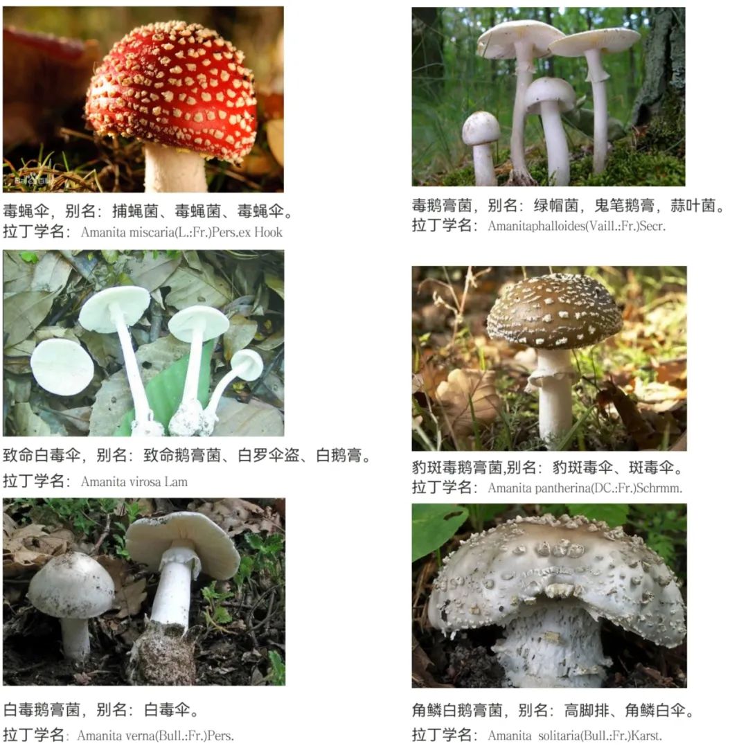 云南省文山州人民医院