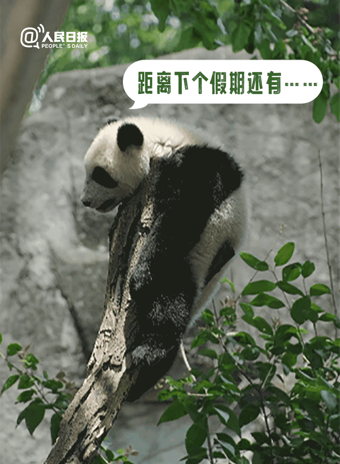 昆明市西山区发布