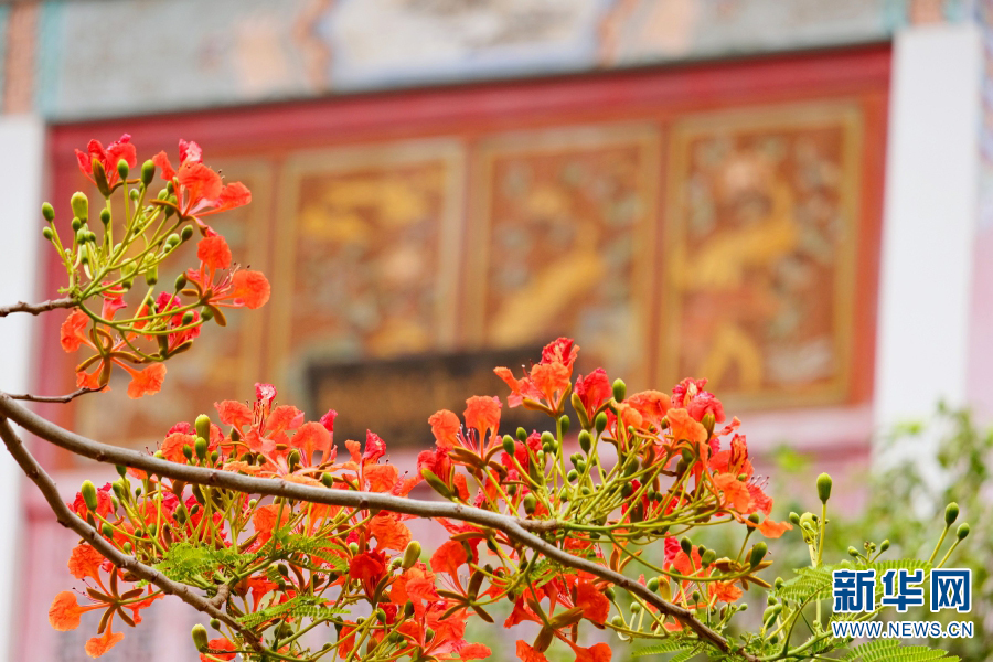 云南省文化和旅游厅