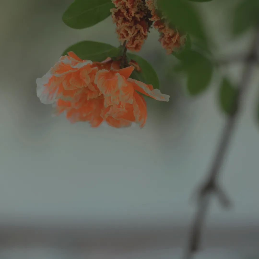 昆明市金殿名胜区