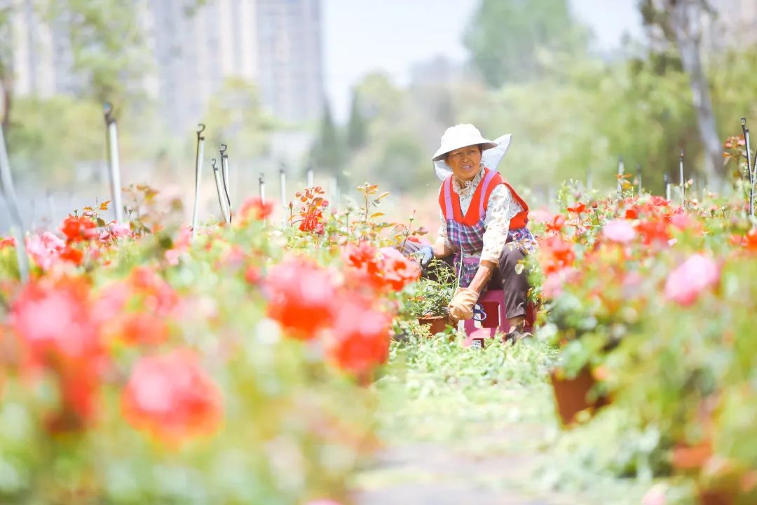 昆明西山发布