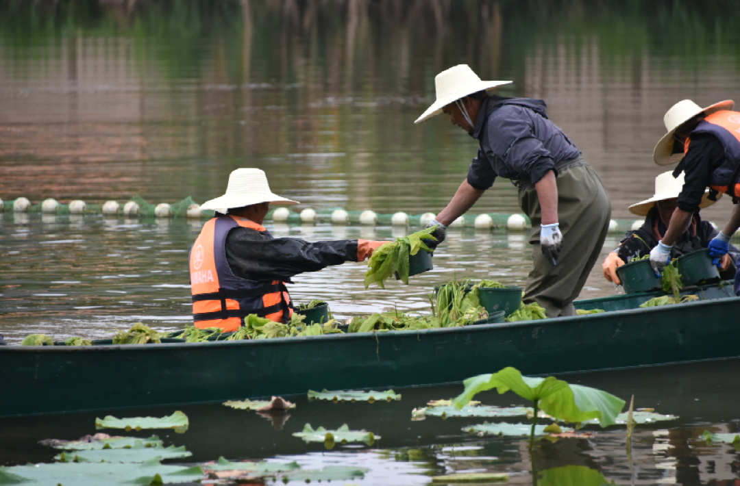 晋宁诗意的栖居地