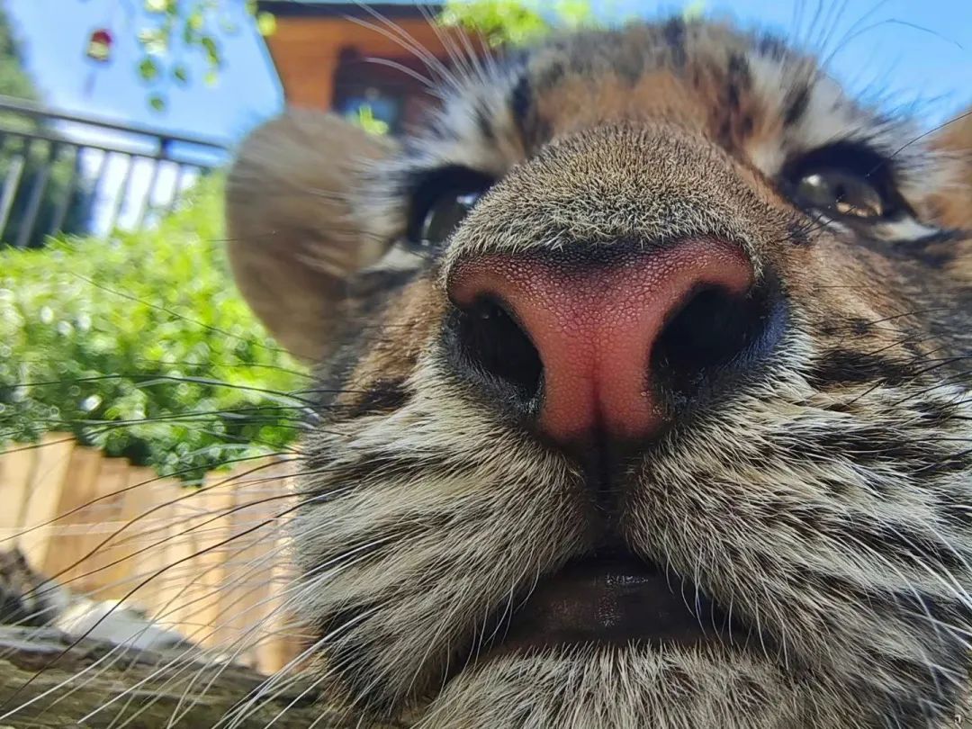 云南野生动物园