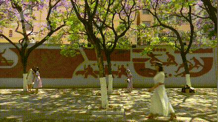 滇池旅游度假区
