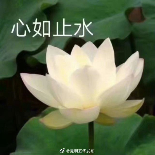 善用表情平息网怒症