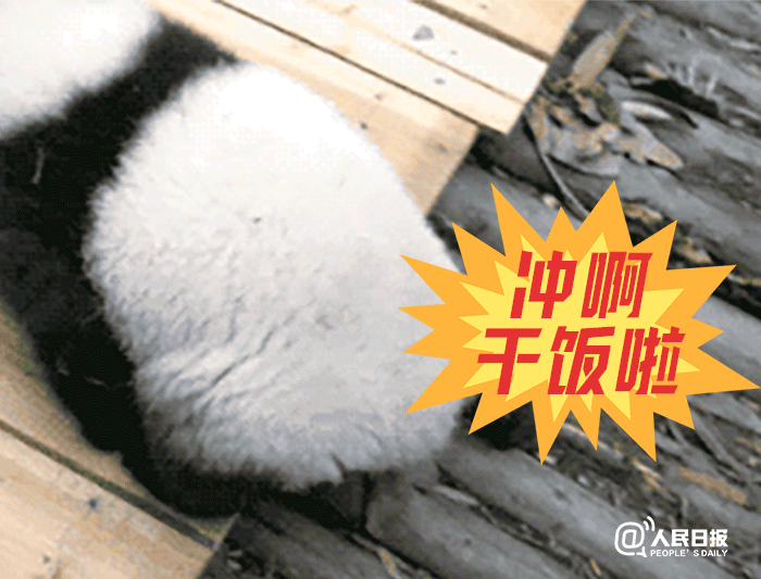 昆明市西山区发布