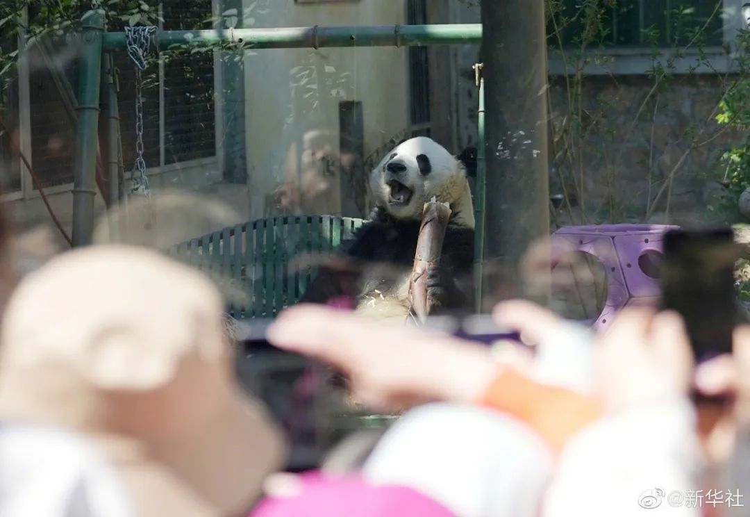 昆明信息港/cnkmxxg