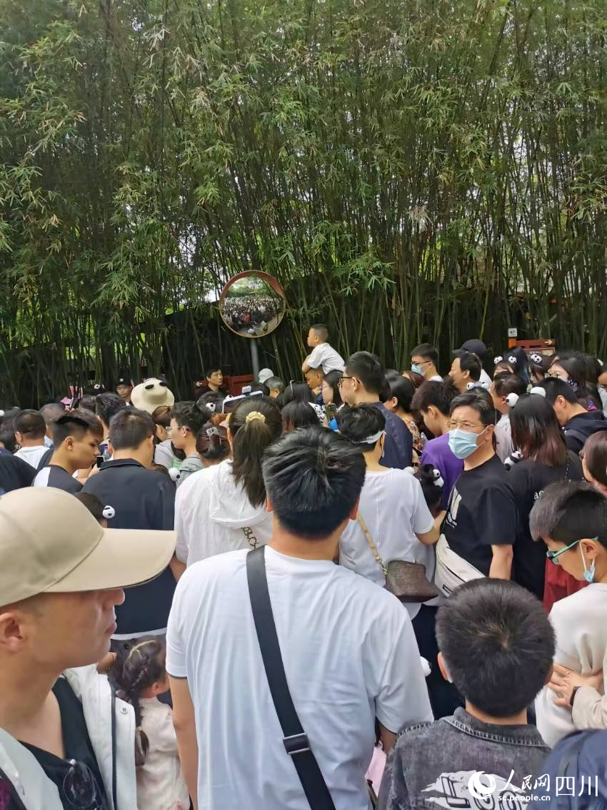 人民网