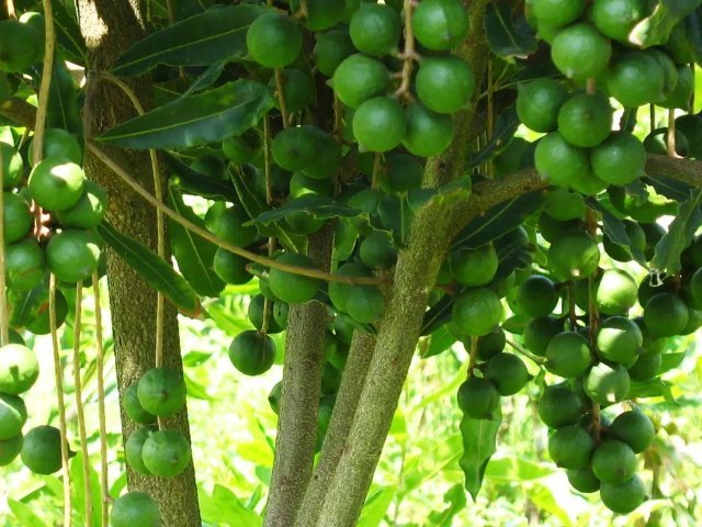 云南省文化和旅游厅