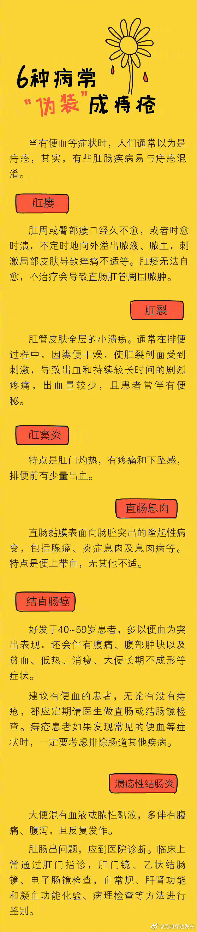 昆明禄劝发布