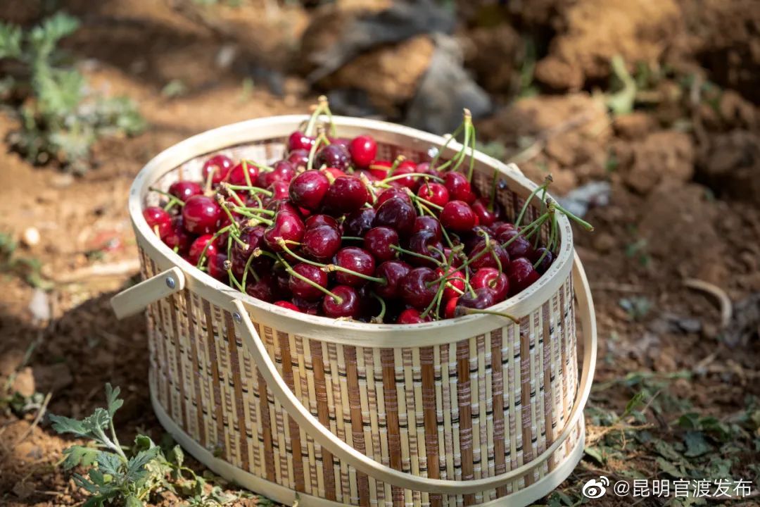 昆明官渡发布