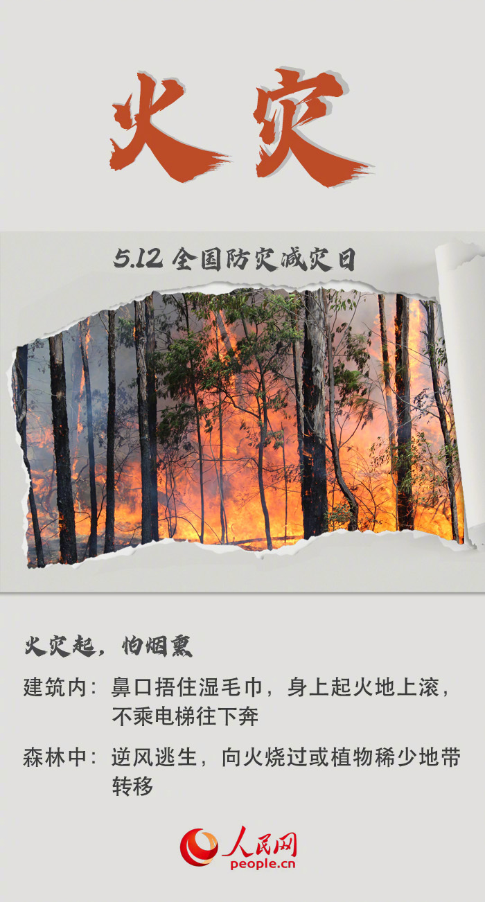 人民网