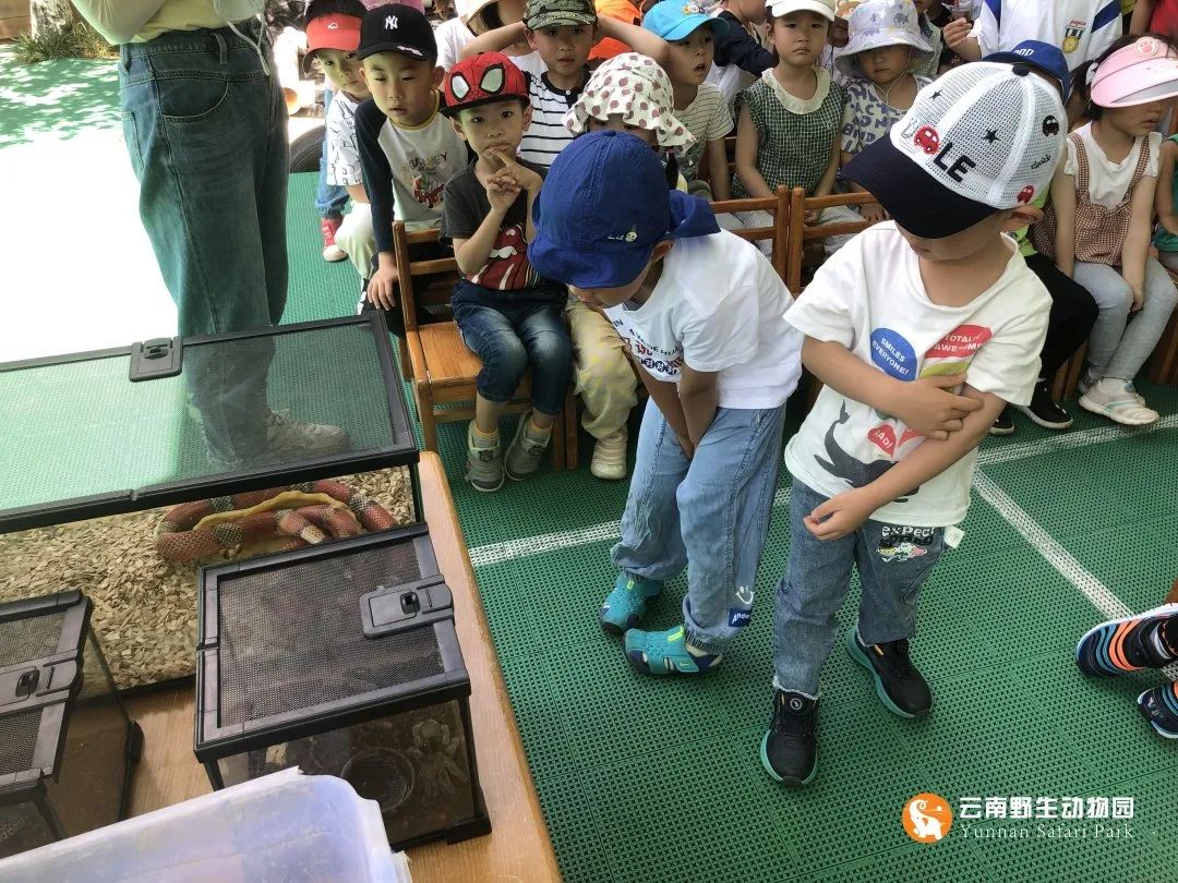 云南野生动物园