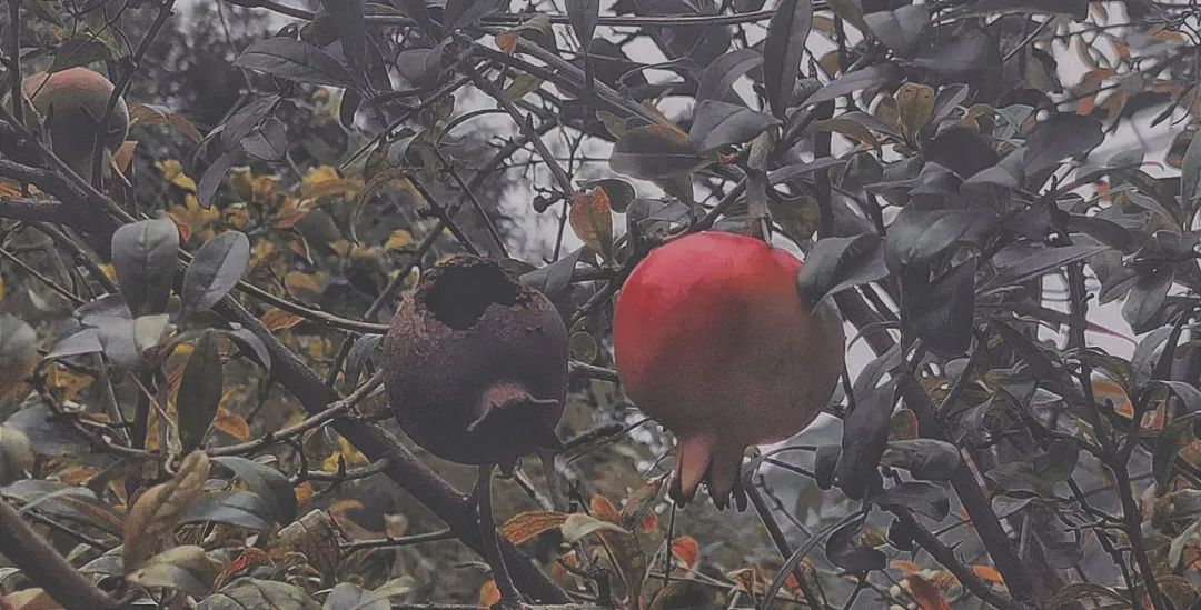 昆明市金殿名胜区