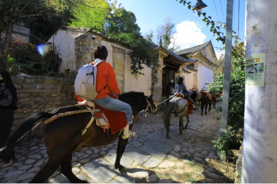 云南省文化和旅游厅