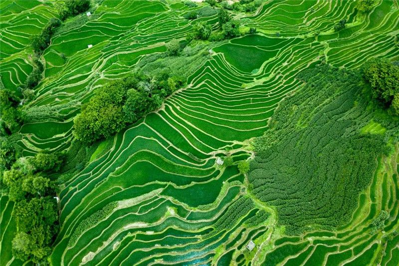 红河文旅