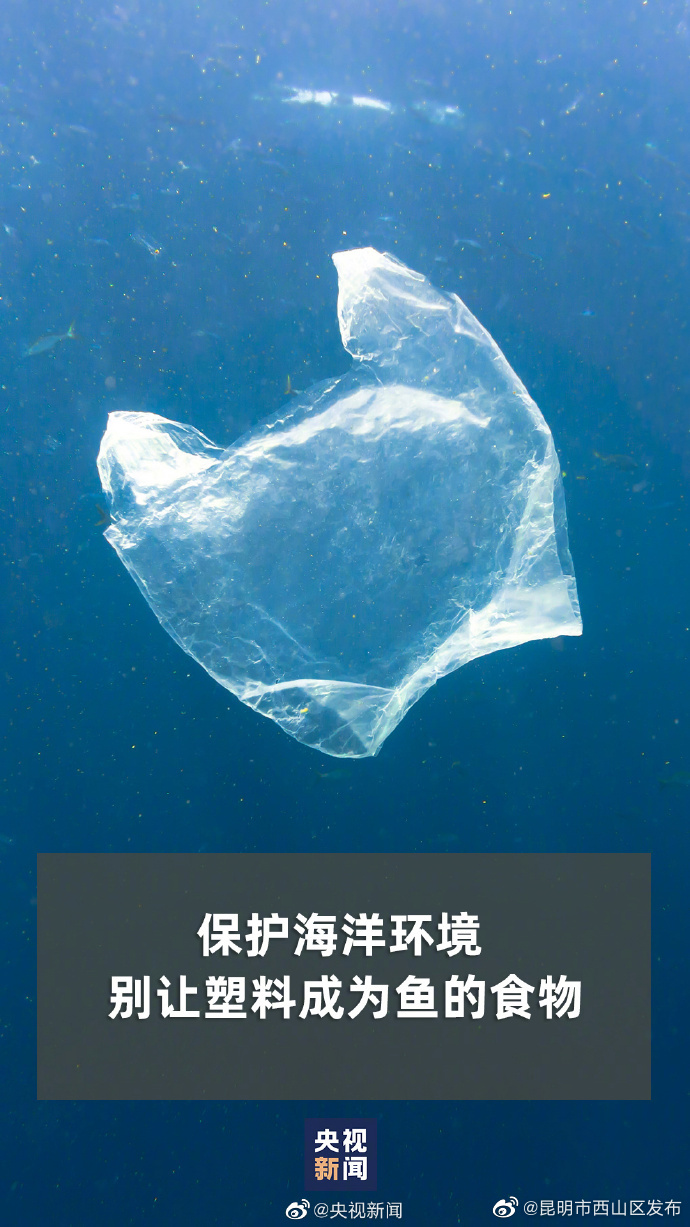 昆明市西山区发布