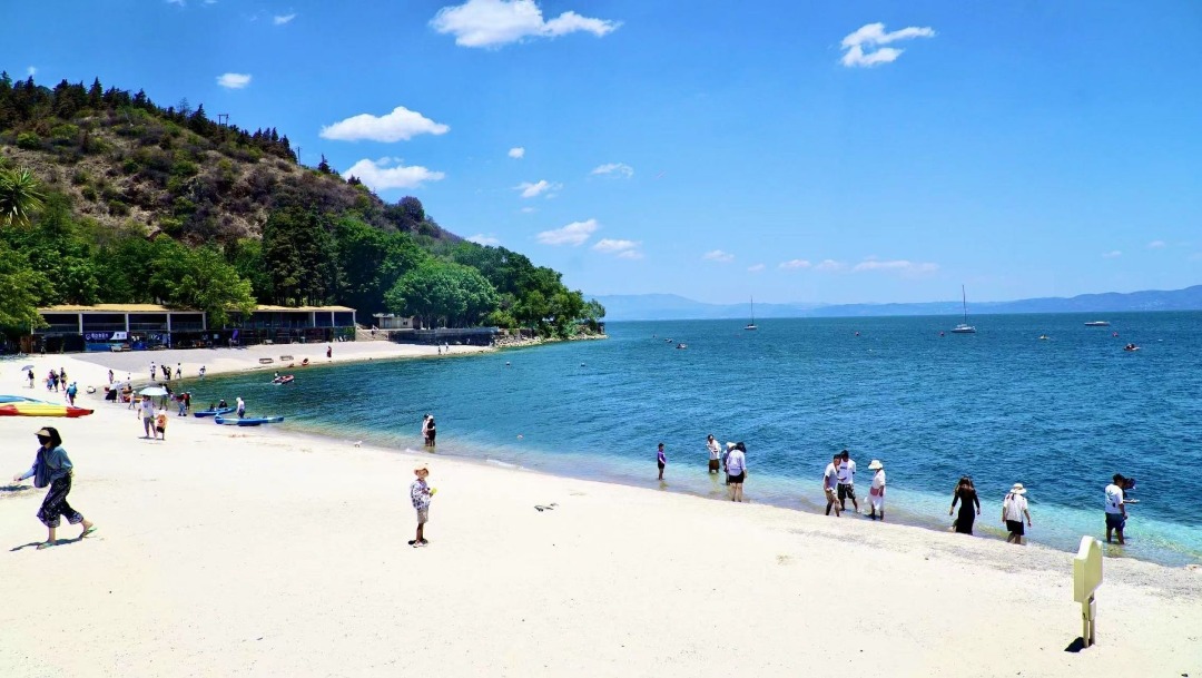 云南省文化和旅游厅