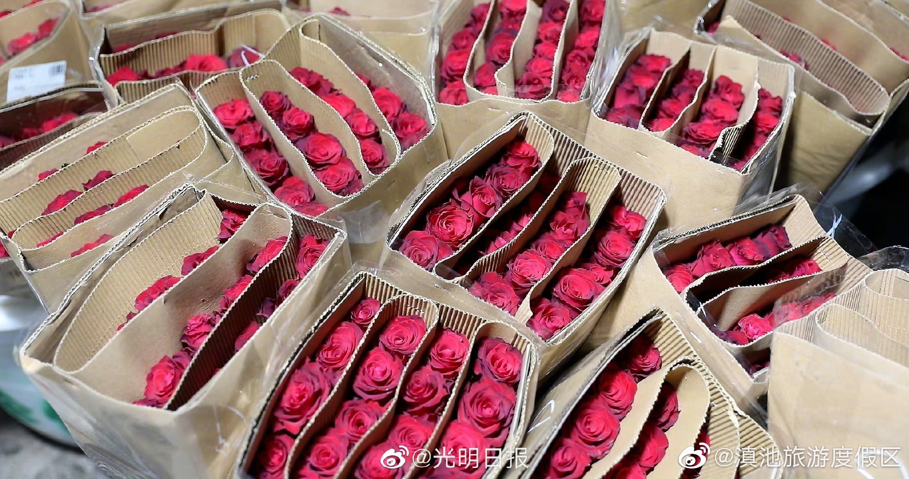 滇池旅游度假区