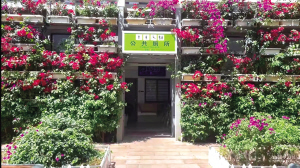 昆明市文化和旅游局