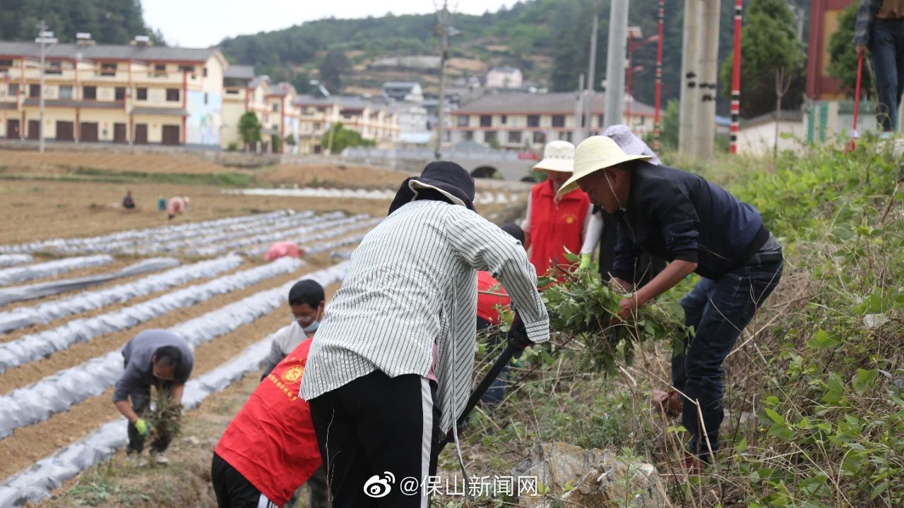 保山新闻网