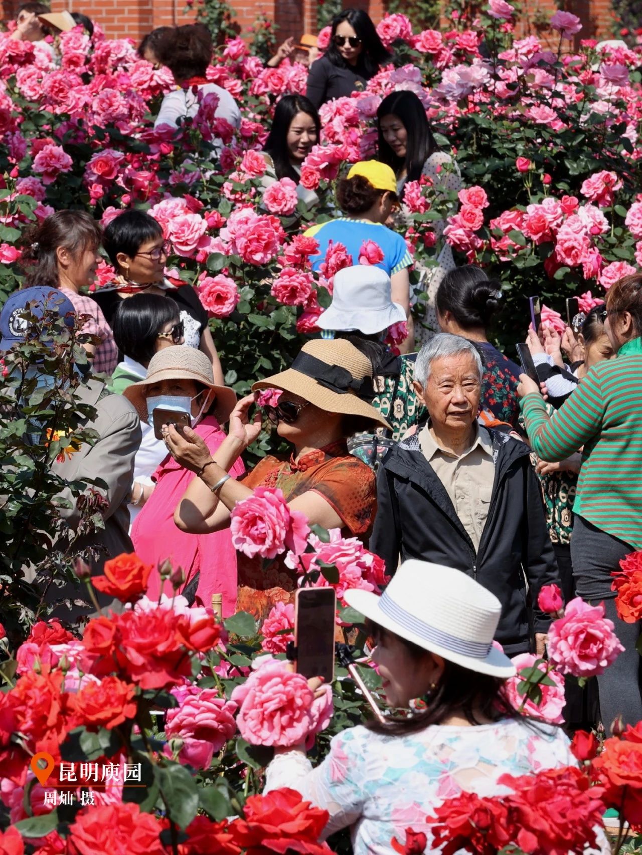 云南省文化和旅游厅