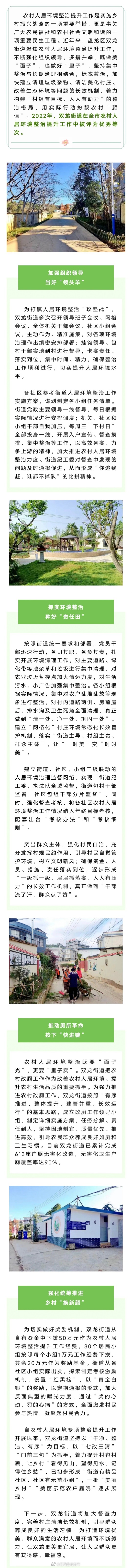 “一时美”变“时时美”！盘龙这个街道开启“硬核美颜”模式