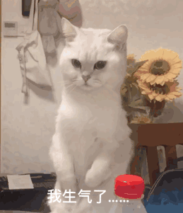 脾气差可能是缺维生素B了