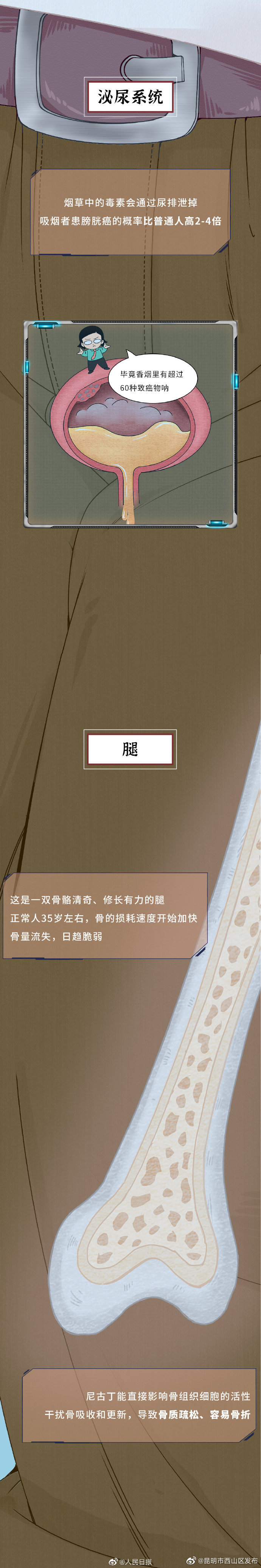 昆明市西山区发布