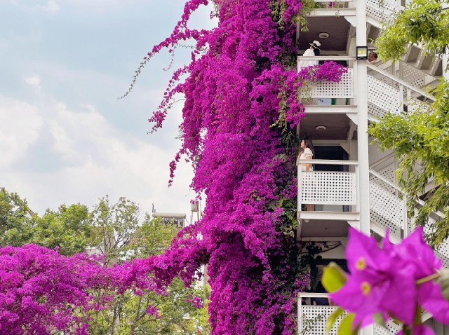 云南省文化和旅游厅