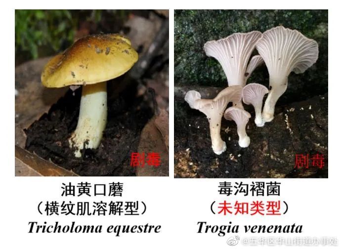 五华区华山街道办事处