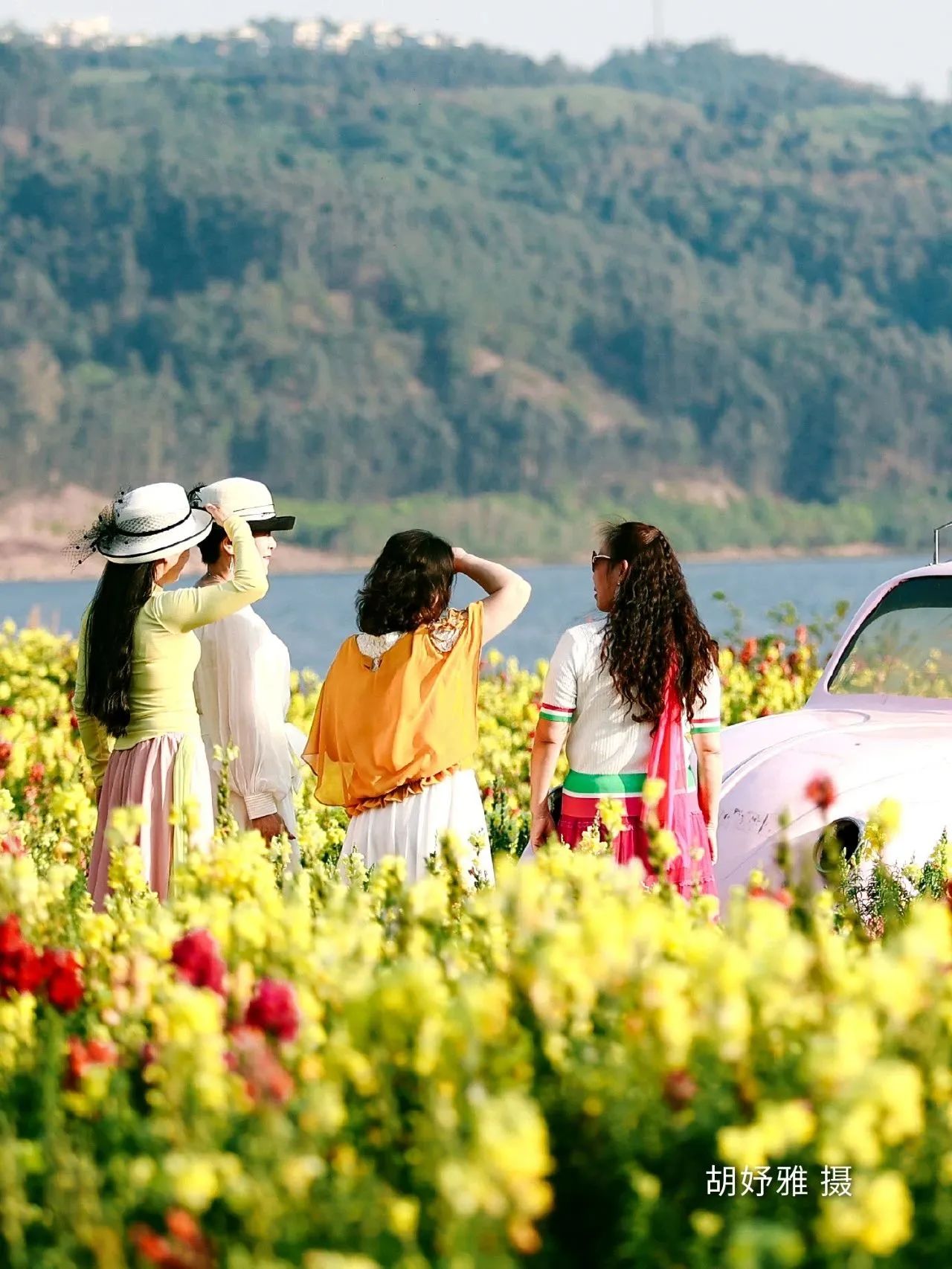 云南省文化和旅游厅