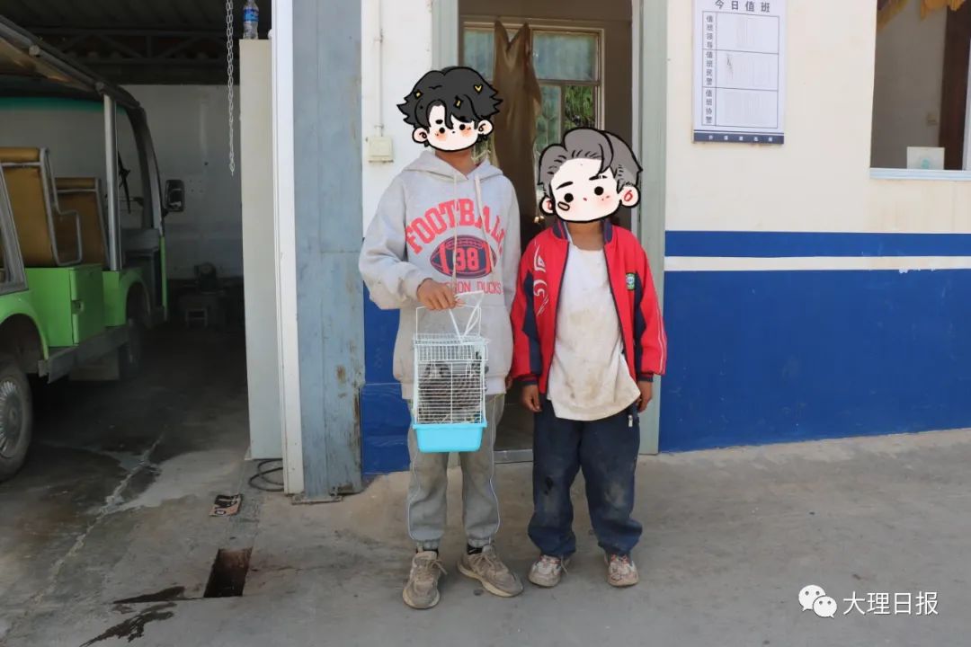 大理日报