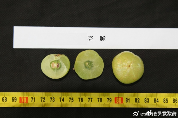呈贡发布