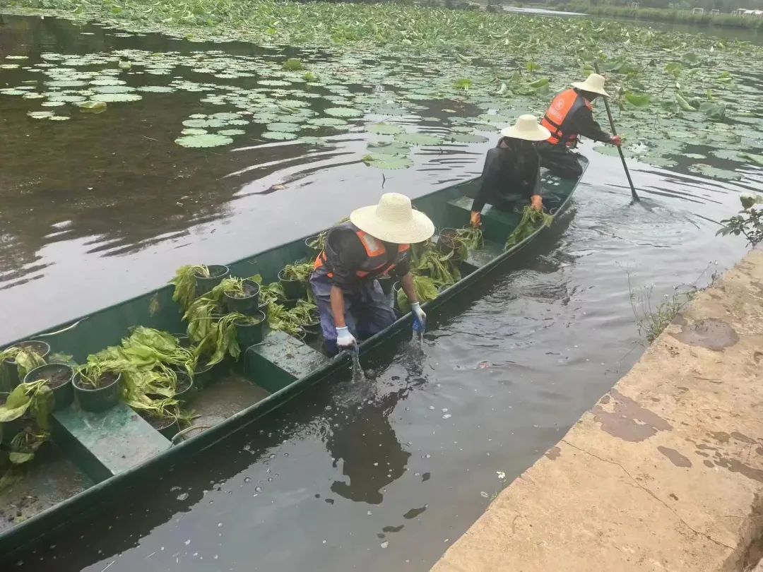 晋宁诗意的栖居地