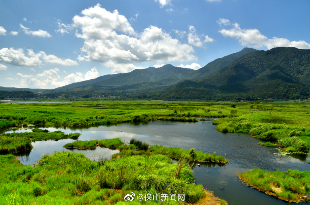 保山新闻网