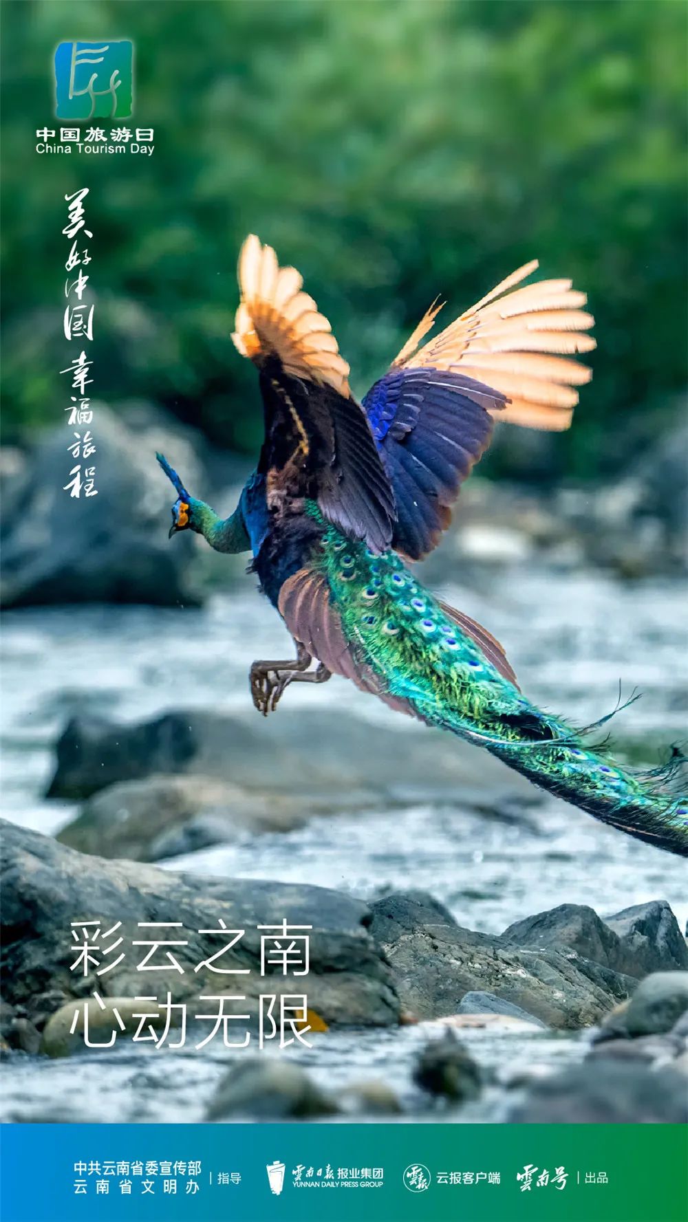 大理日报