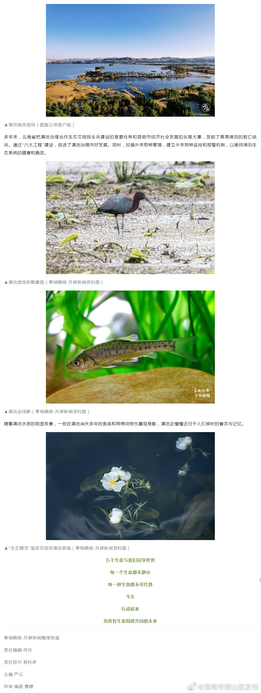 昆明市西山区发布